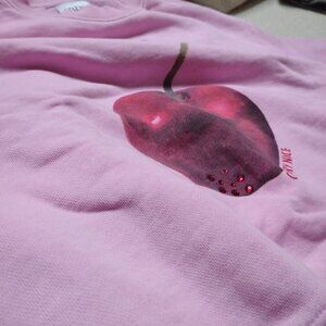 Pastel Pink Zara "Cherry Nice" Sweater
